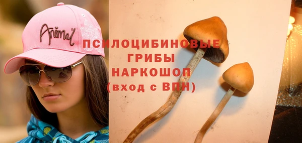 кокс Дмитров