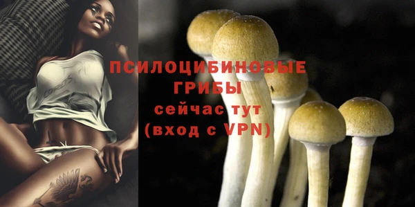 кокаин Дмитриев