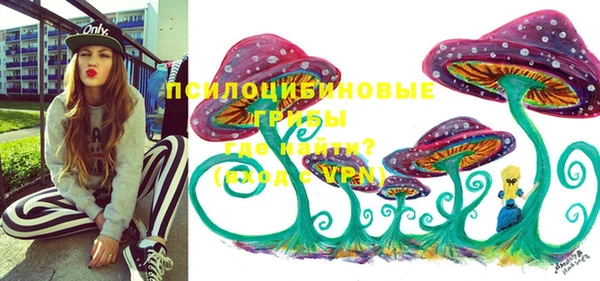 кокс Дмитров
