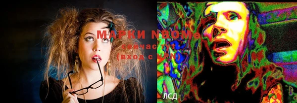 кокс Дмитров
