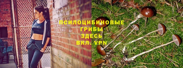 кокаин Дмитриев