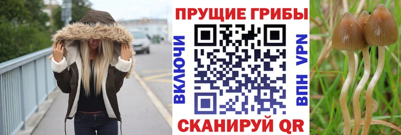 Галлюциногенные грибы мухоморы  нарко площадка какой сайт  Кукмор 